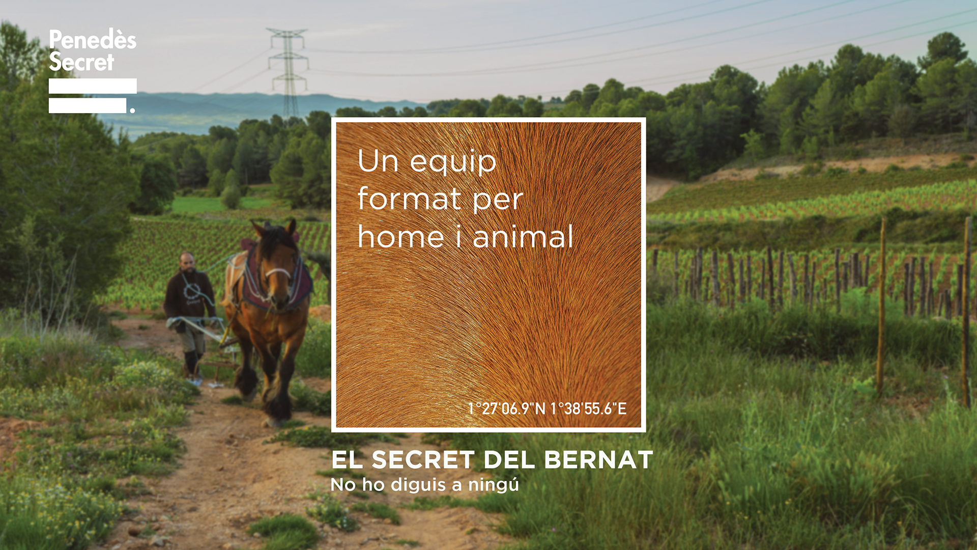 El Secret del Bernat