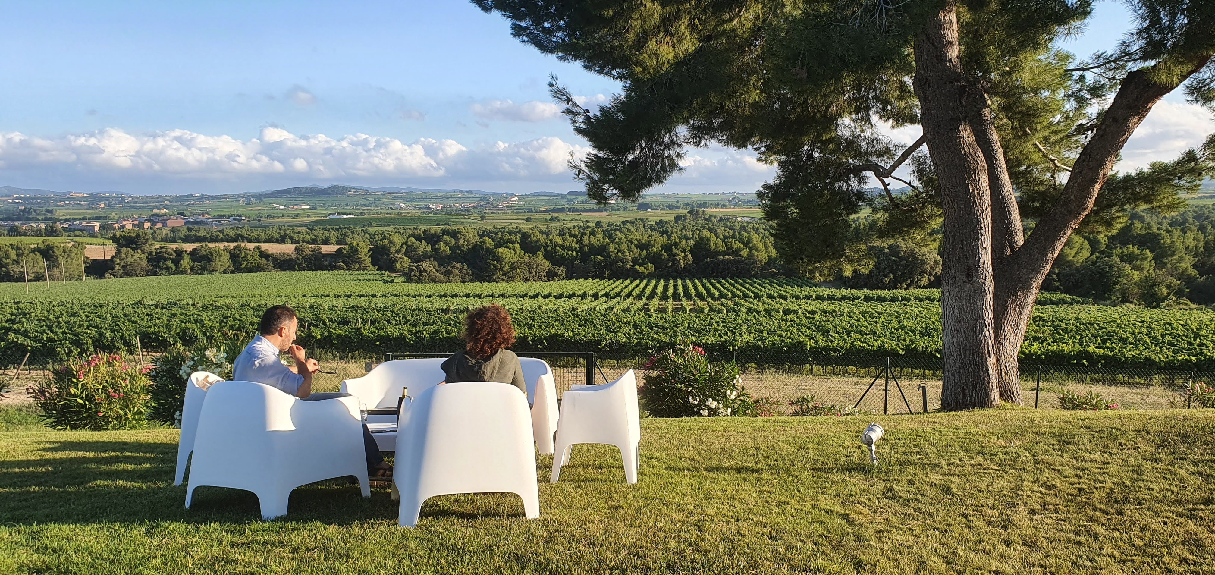 Wine Bars del Penedès