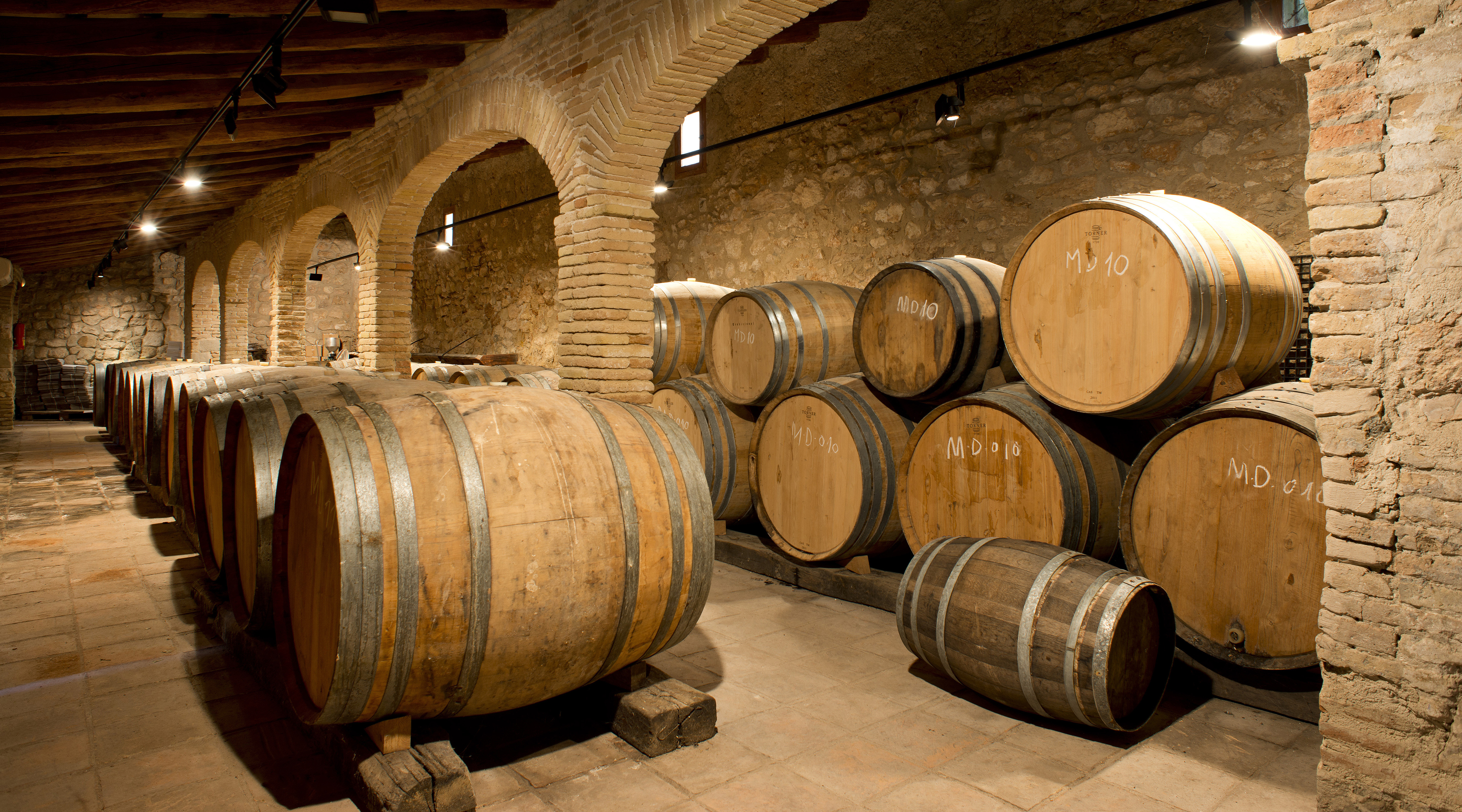 Sala de botes de celler del Penedès