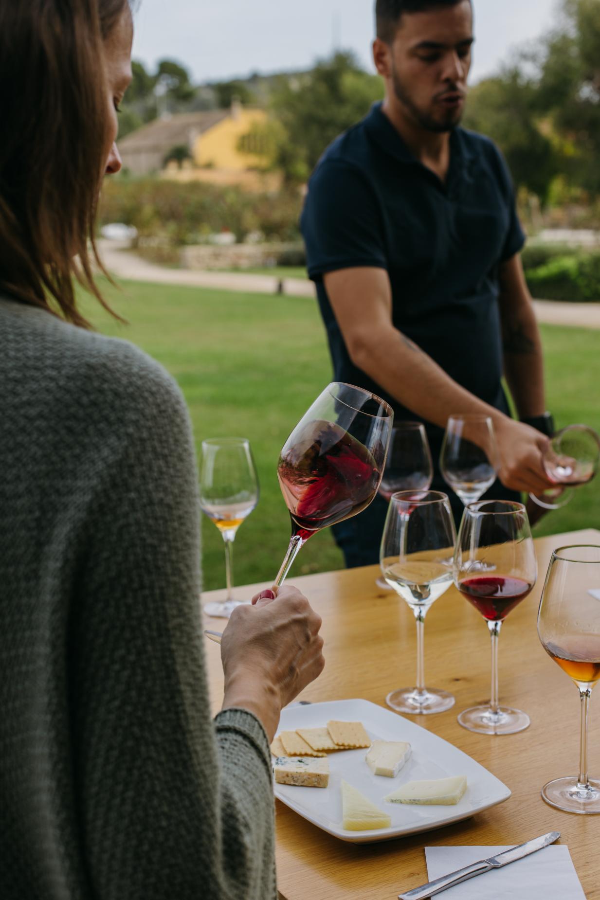 Visita al celler Família Torres amb maridatge de vins i formatges