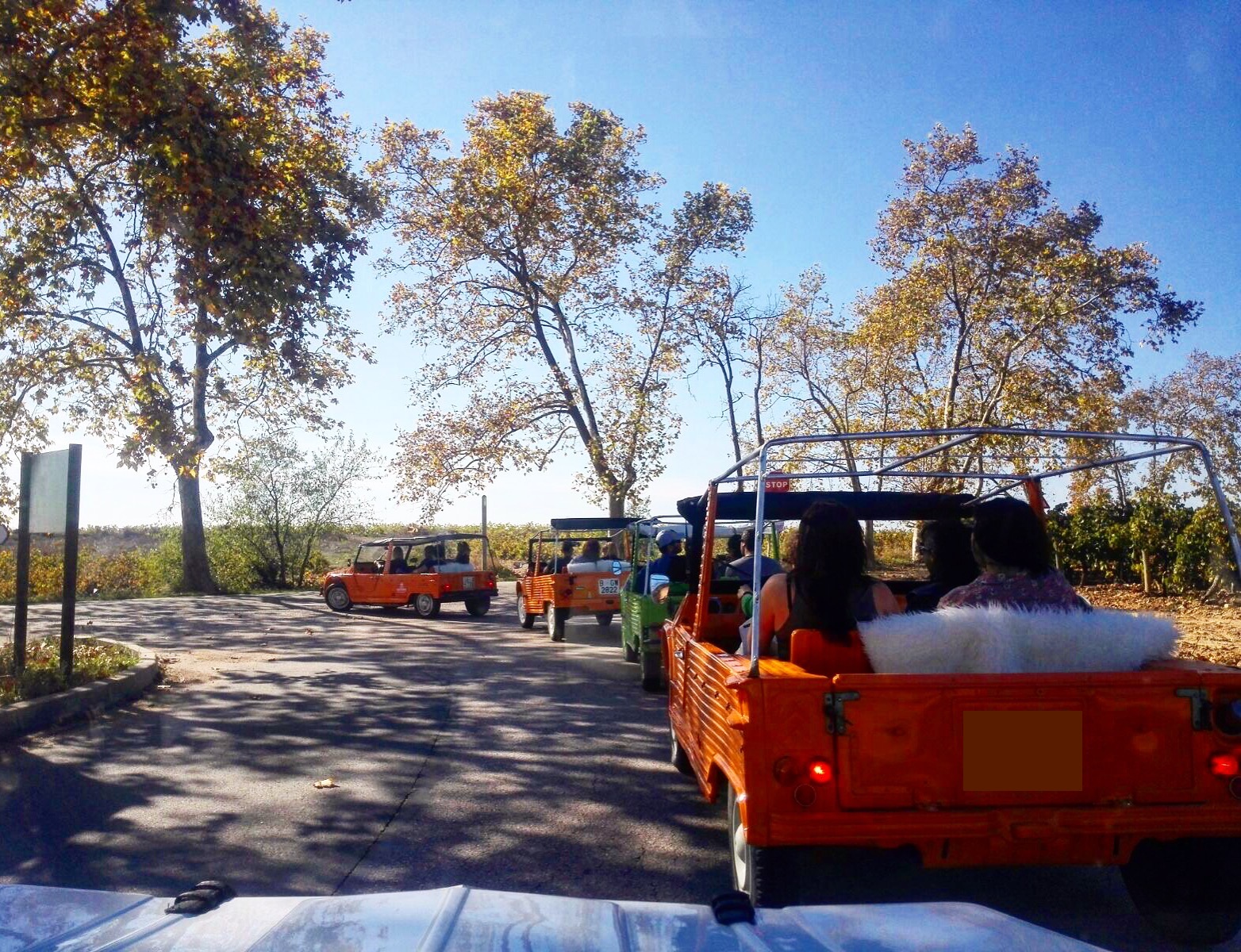 Nomadic Wine Tours