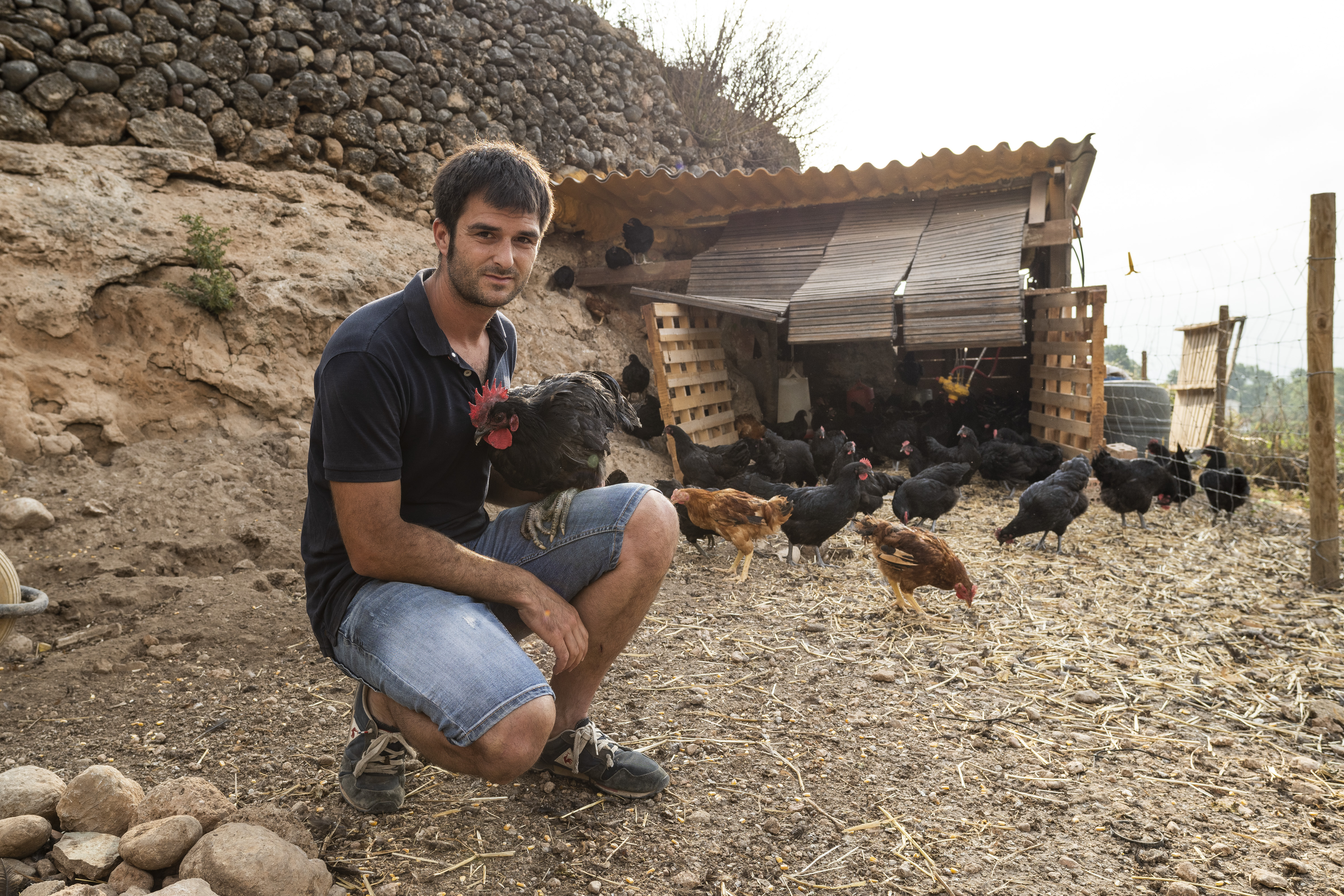 Carles Herrero - Criador de galls del Penedès