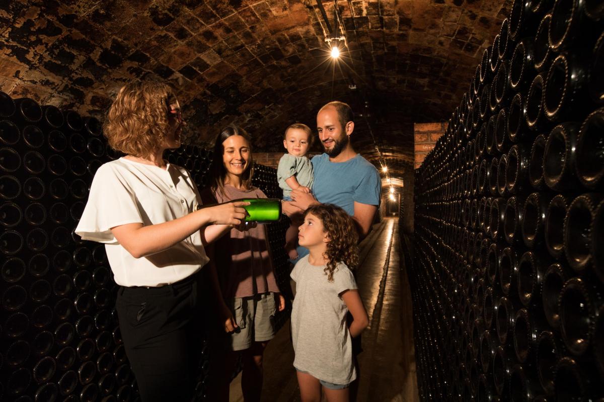 Visita celler en família