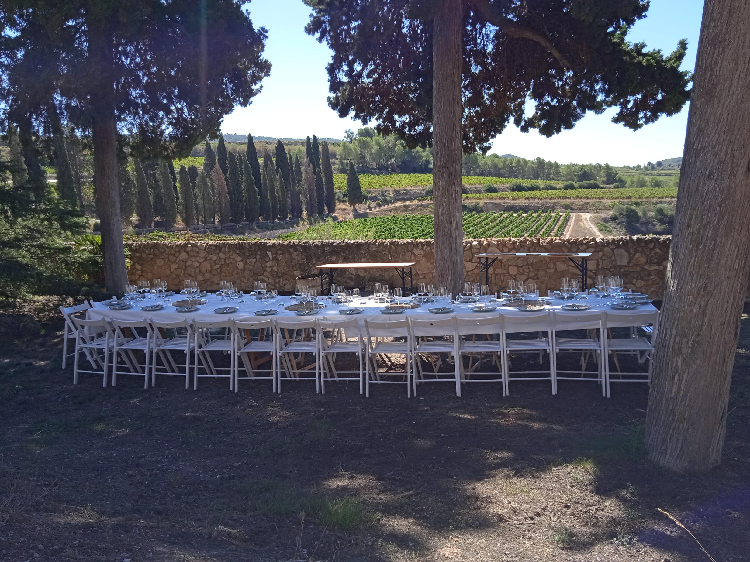 albet_i_noya_events-8.jpg