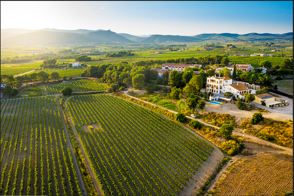 Bolet Wines and Cavas