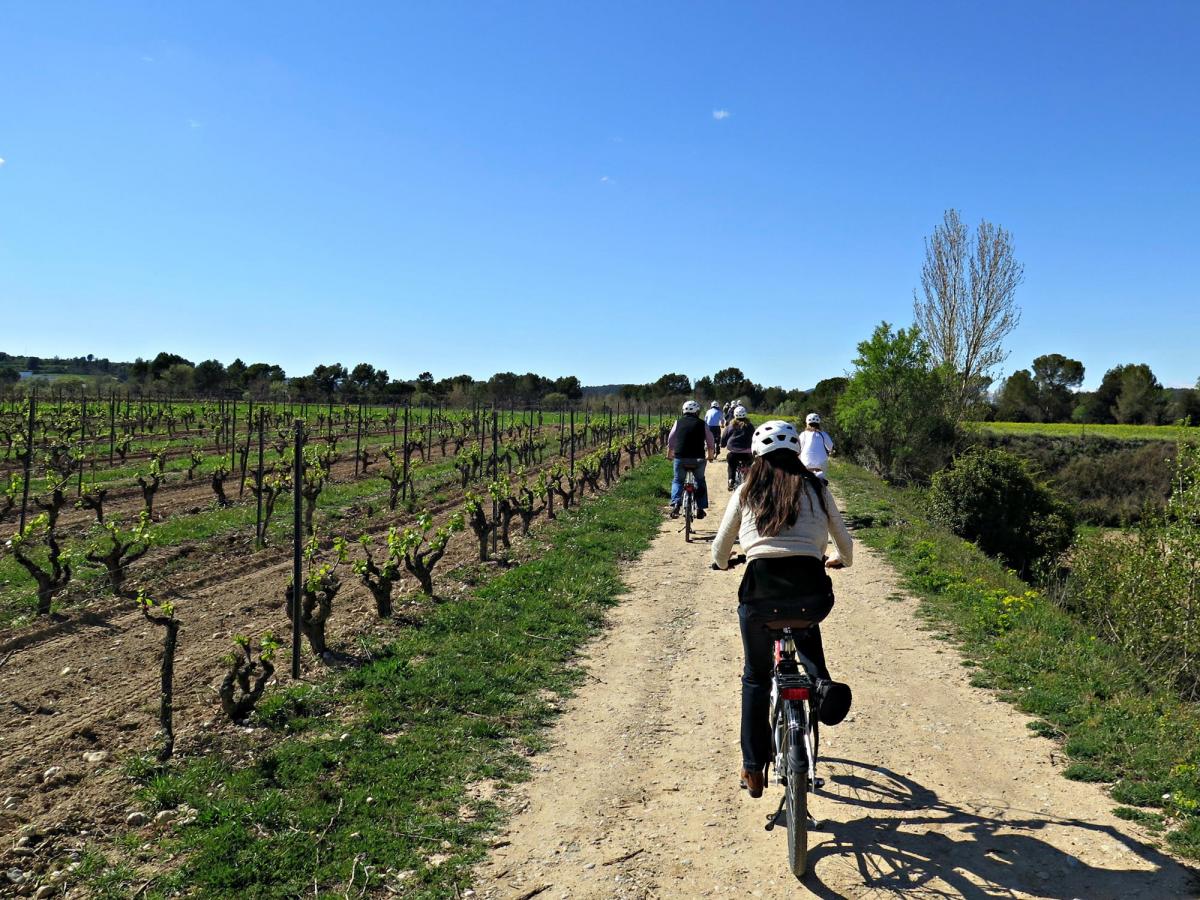 bicicleta entre vinyes - Bikemotions