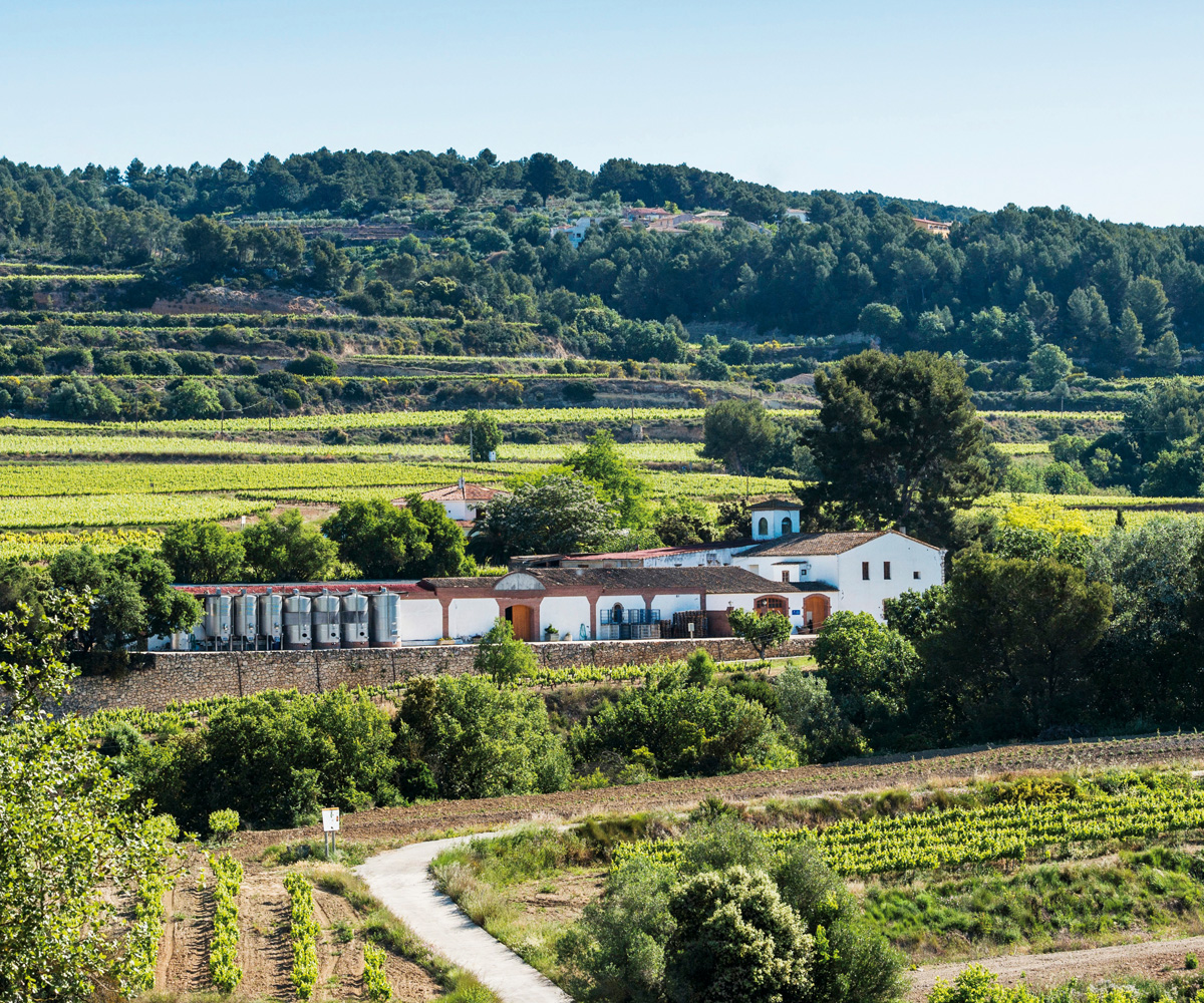 foto_principal_eno_penedes.jpg