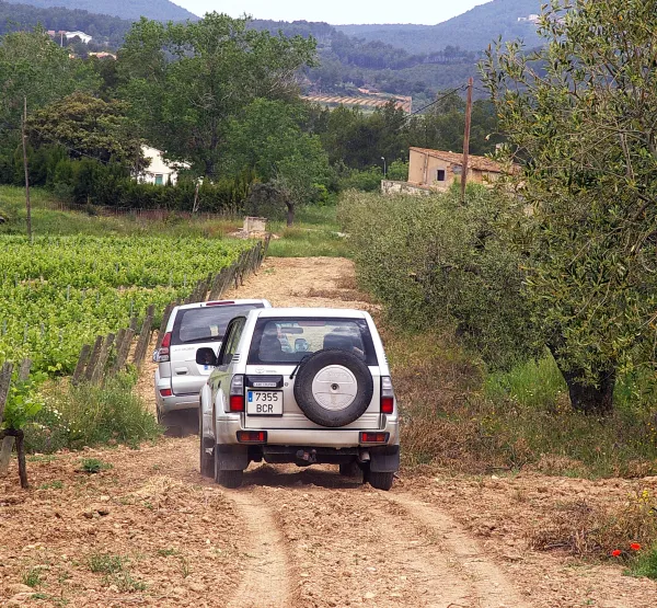 Parés Baltà 