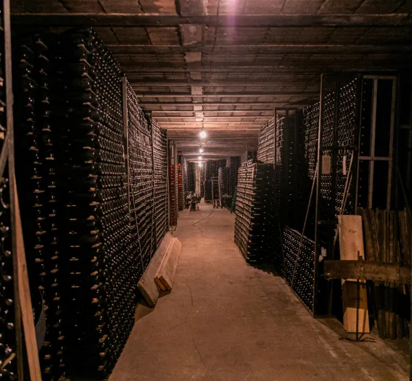 Visita petit celler familiar i tast cava de llarga criança: Reserva i Gran Reserva.