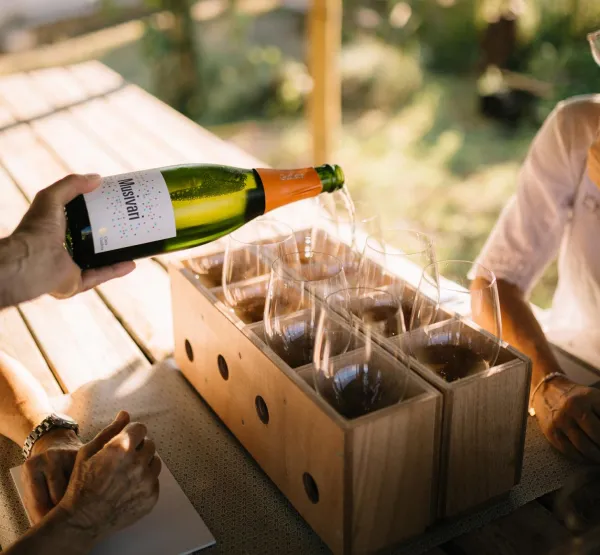 Tast Cava Grans Collites