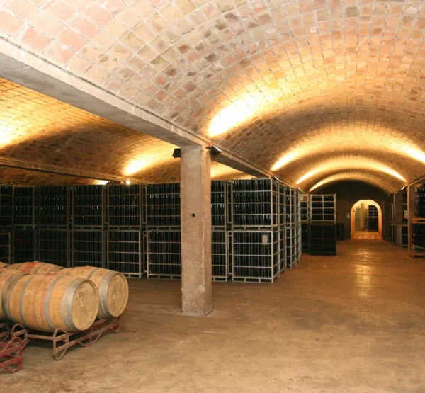 Descobreix el món del cava al Cava Centre i gaudeix d'un menú típic de brasa a les caves Canals & Munné