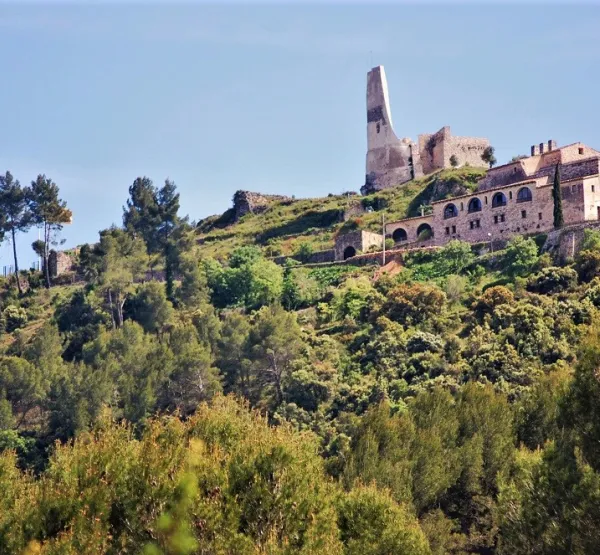 91s_castell_de_subirats_alt_penedes_muntanyes_dordal.jpg