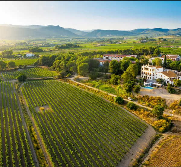Bolet Wines and Cavas