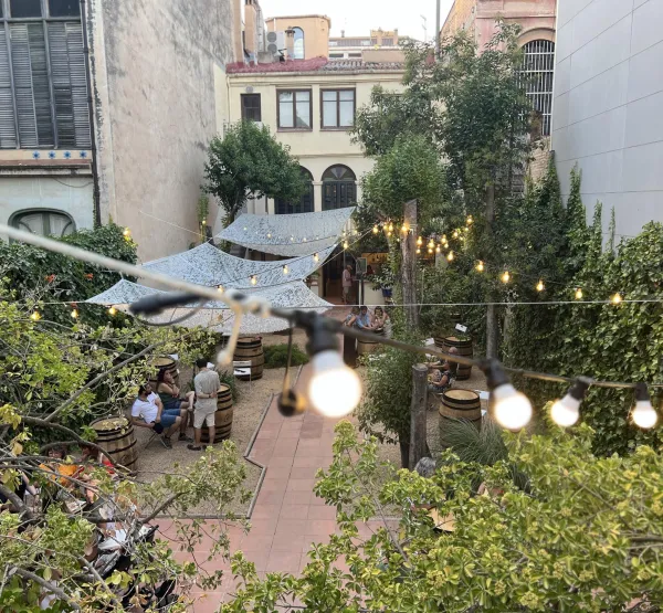 El Pati de Covides