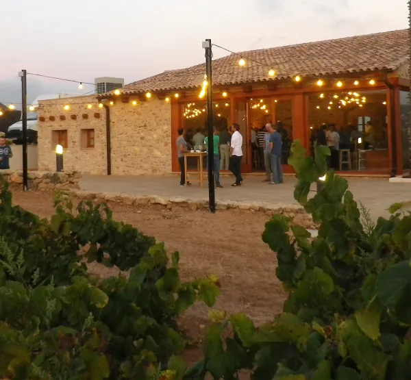 Mas Llagostera