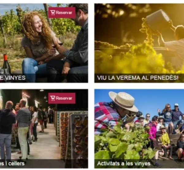 enoturisme_penedes.jpg