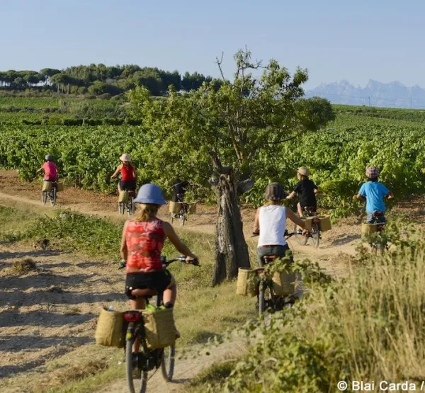 enoturismePENEDÈS ruta en burricleta. Fotografia Blai Carda