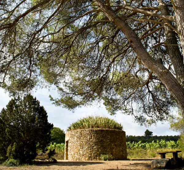 Barraca entre Vinyes