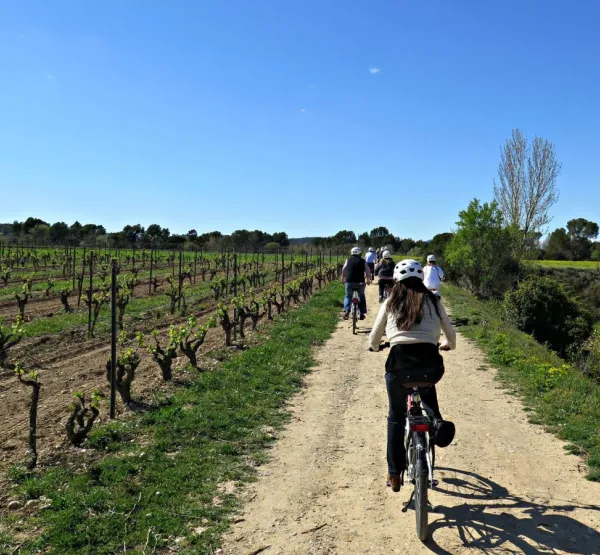 Bicicleta entre vinyes - Bikemotions