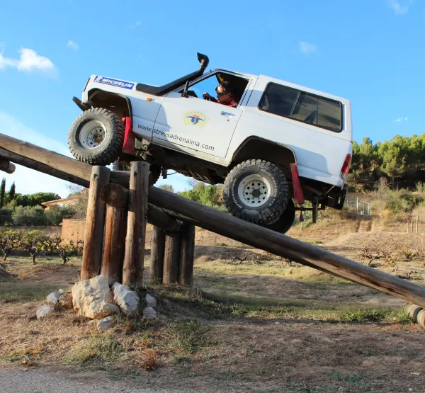 Stress & Adrenalina