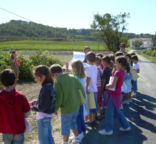 School activities on the Winemaking routes of Subirats