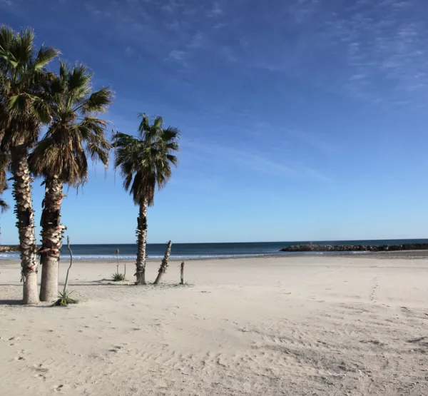 Platja de les sorres a Cunit