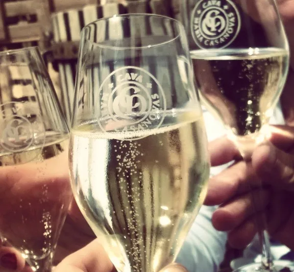 CAVA MARIA CASANOVAS