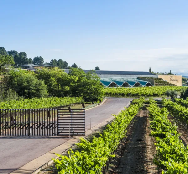 Celler Batlle