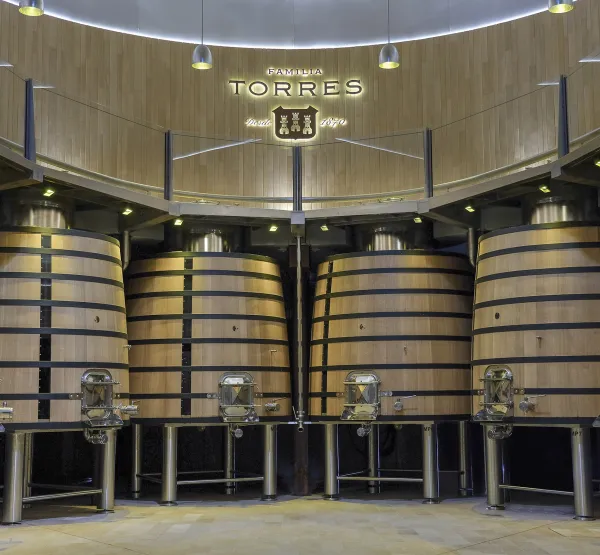 Sala de Vinificació Mas La Plana Família Torres