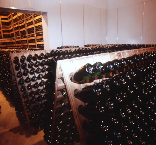 Cava celler del Vendrell
