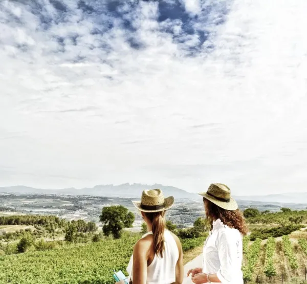 Llopart ofereix unes vistes excepcionals a les montanyes de Montserrat i a les vall de vinyes del Penedès
