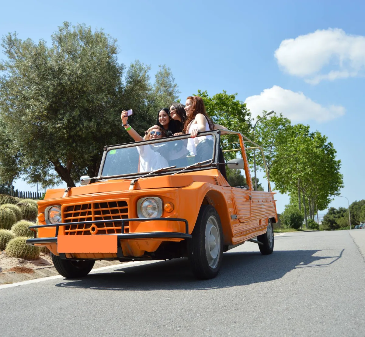 Nomadic Wine Lovers
