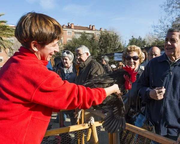 Fira del Gall del Penedès