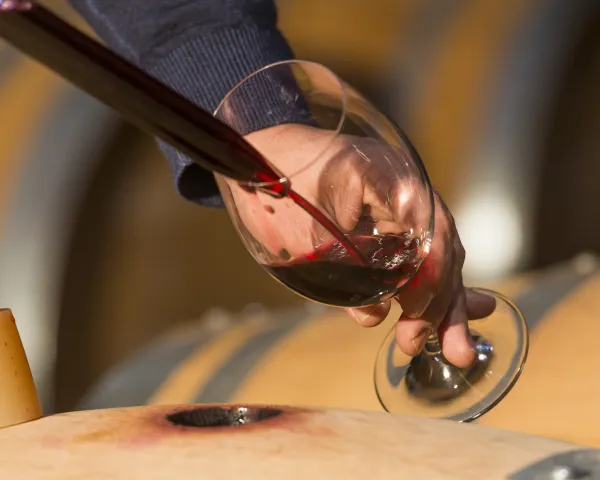 Tast de vins