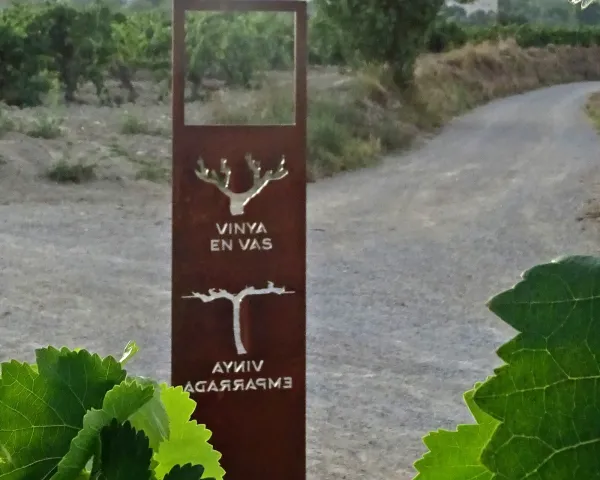 Camí del Vi