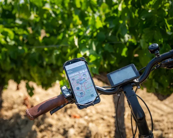 Camins del Cava