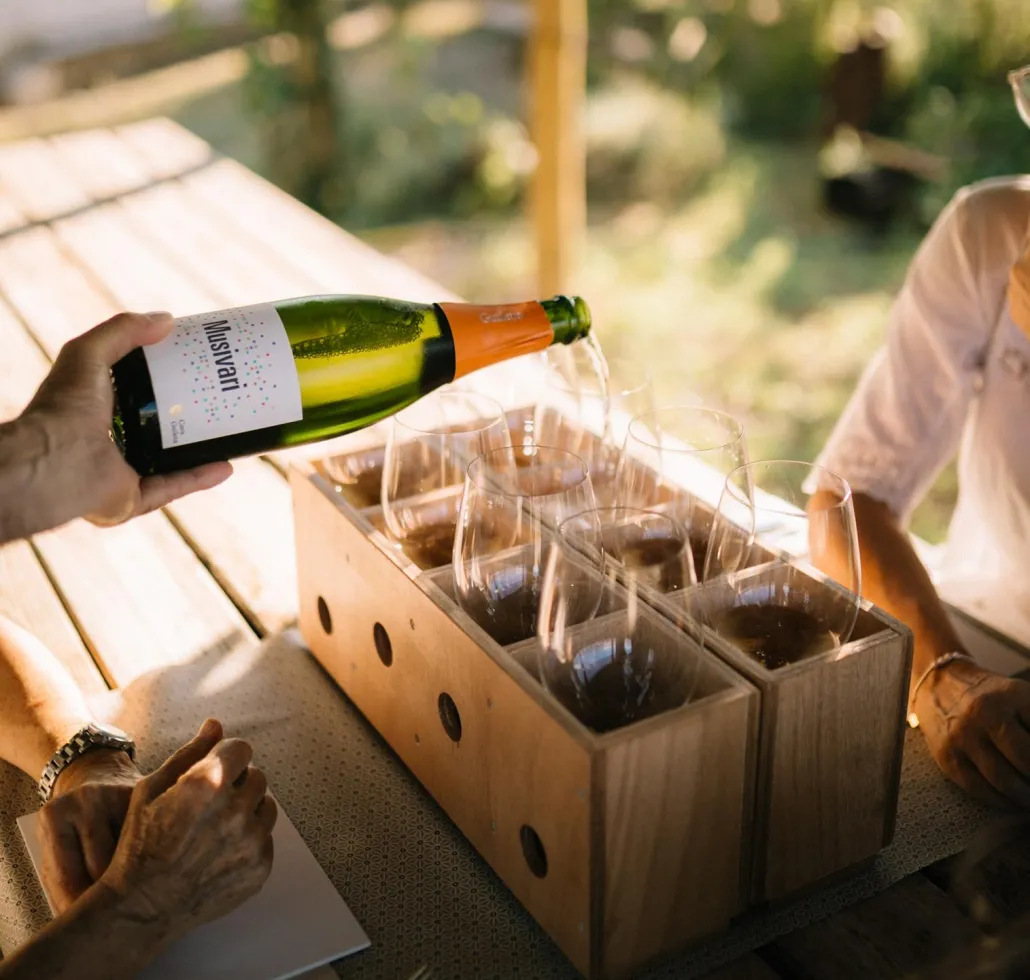 Tast Cava Grans Collites