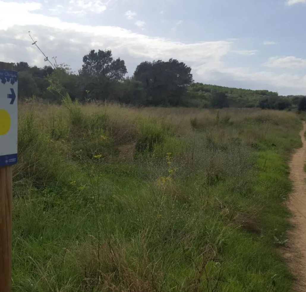 Itineraris per Olèrdola