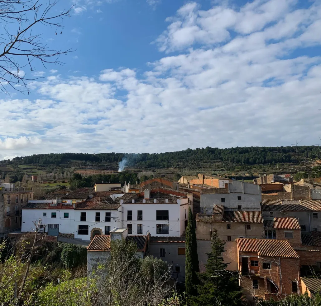 Torrelavit: Vilet