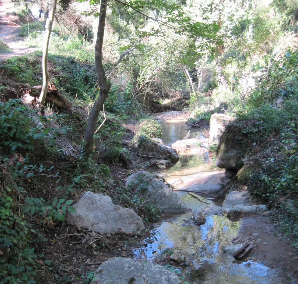 Natura