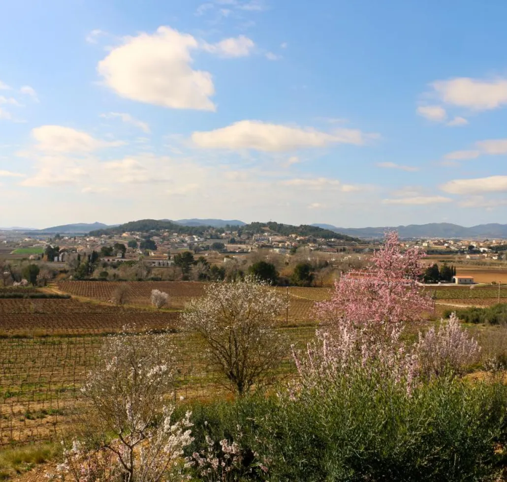 Primavera a Vilobí