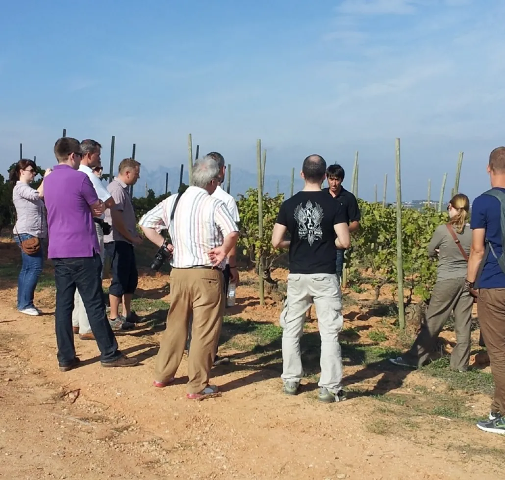 Sant Sadurní d'Anoia Camins Capital del Cava