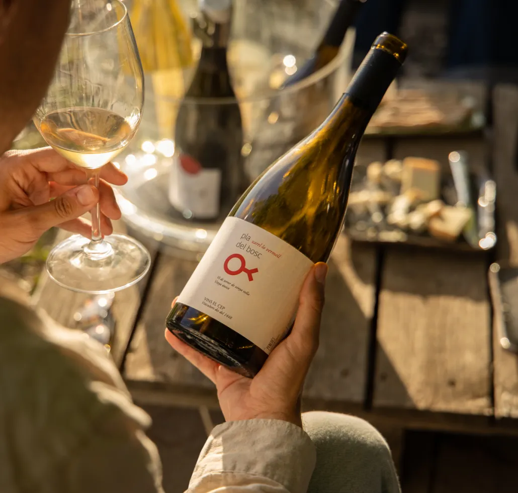 Espai Tast Vins El Cep