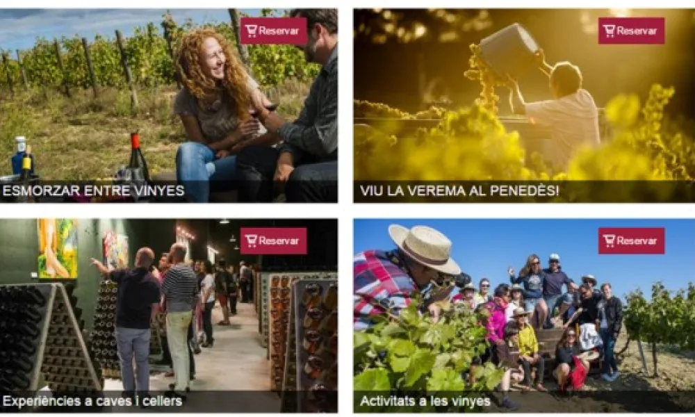 enoturisme_penedes.jpg
