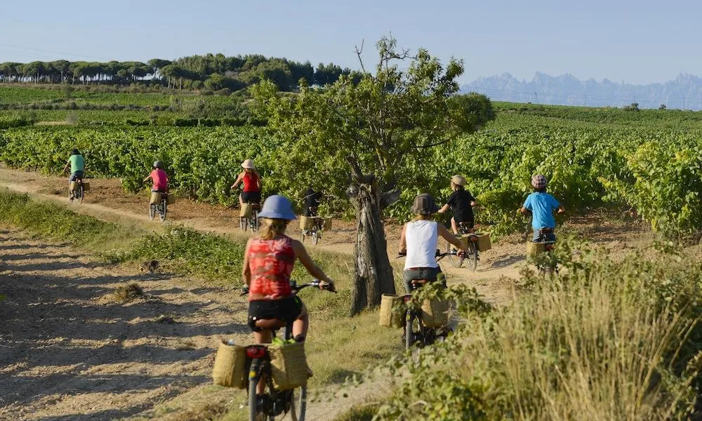 enoturismePENEDÈS ruta en burricleta. Fotografia Blai Carda