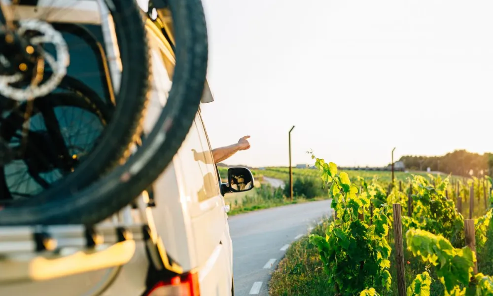 horitzontal_m2_1330_vinya_firgo_bici_carretera.jpg